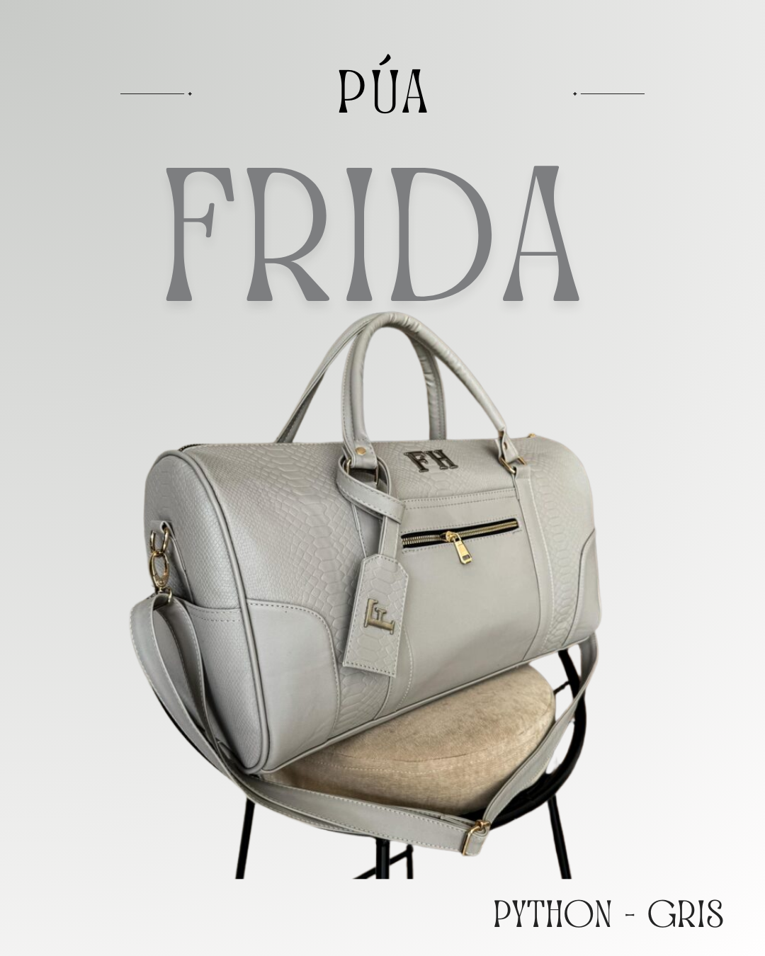 Frida Python Gris