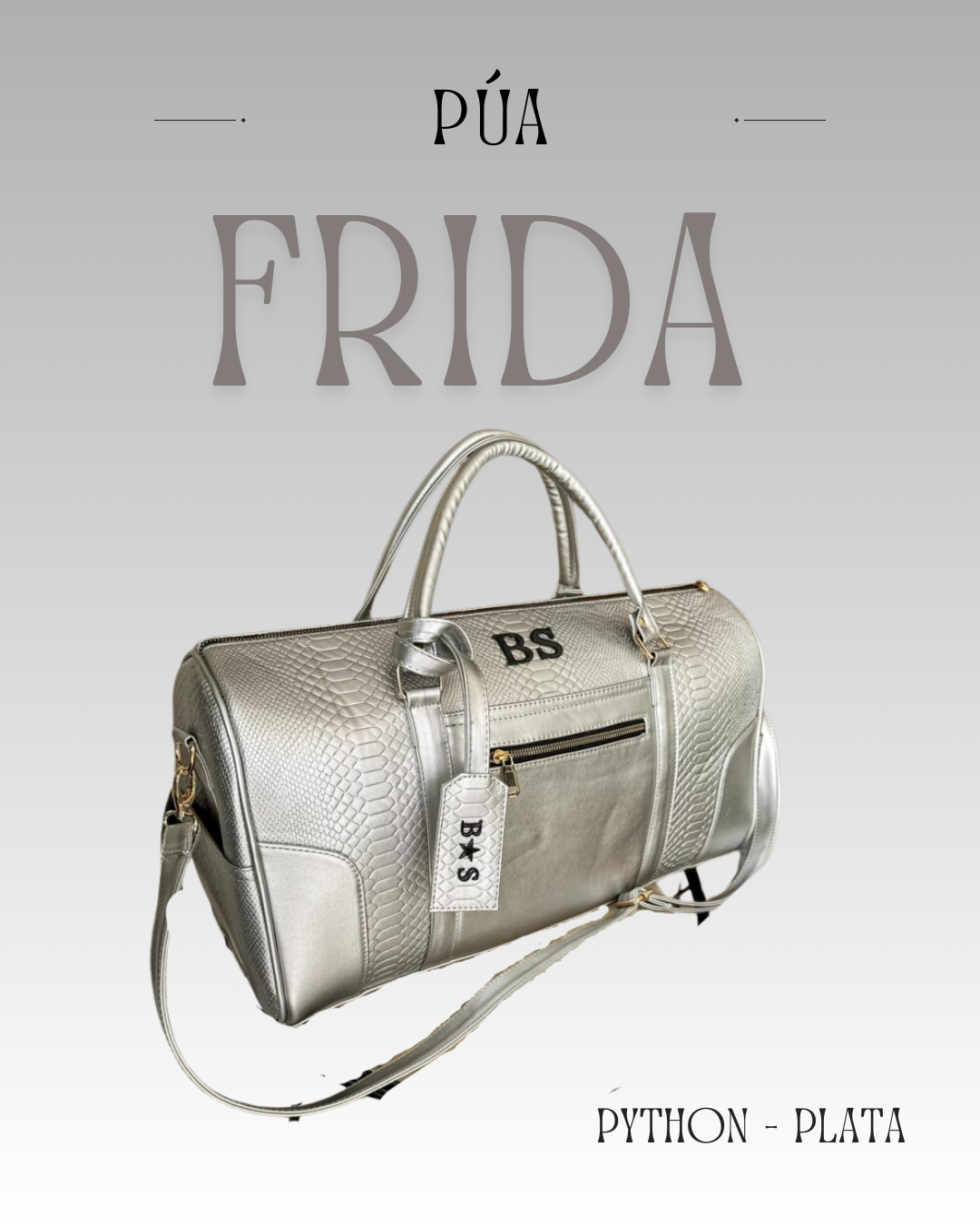 Frida Python Plata