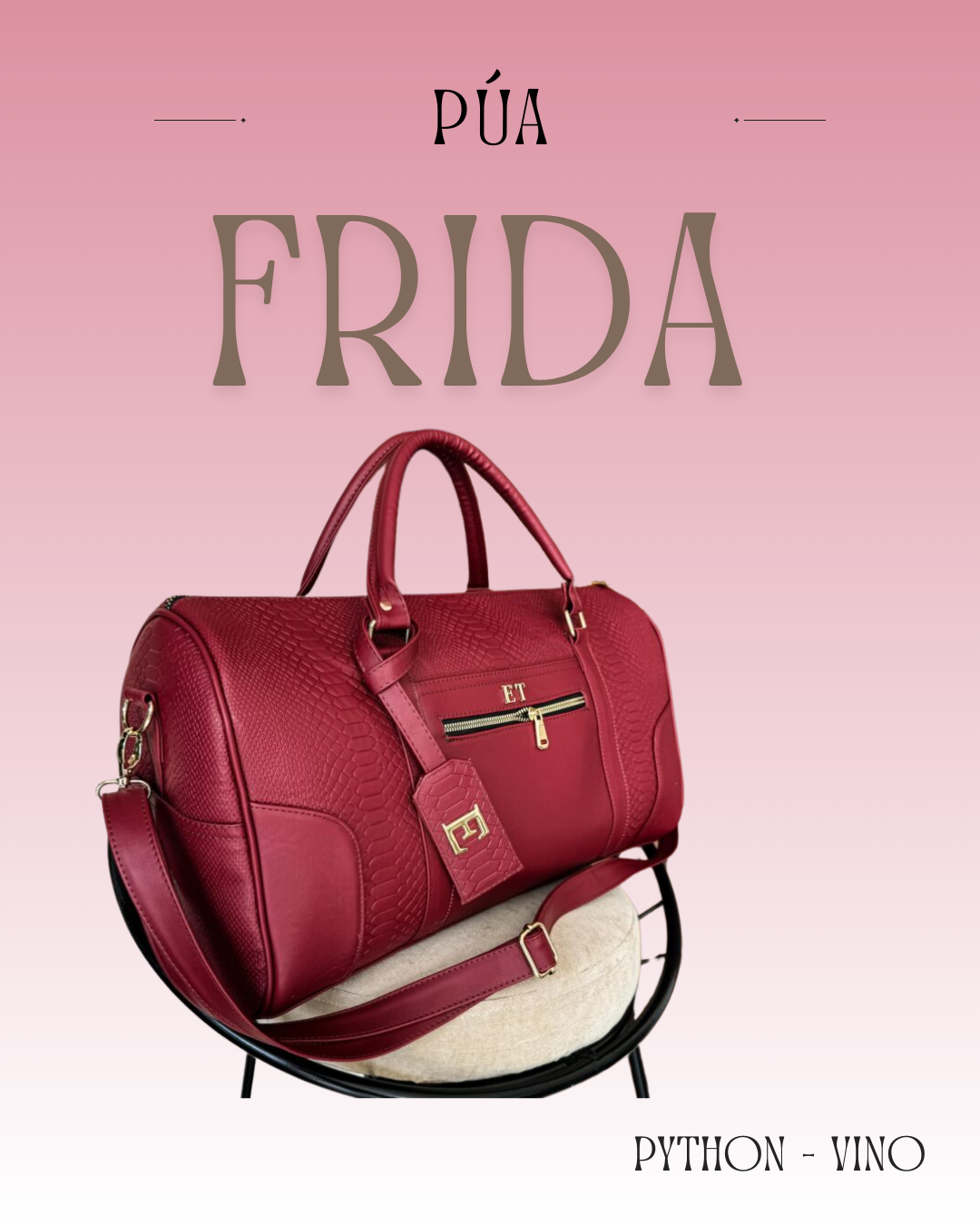 Frida Python Vino