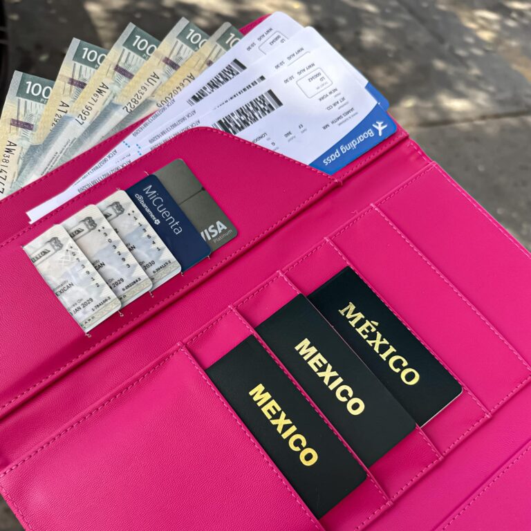 Porta Pasaporte Familiar Gris