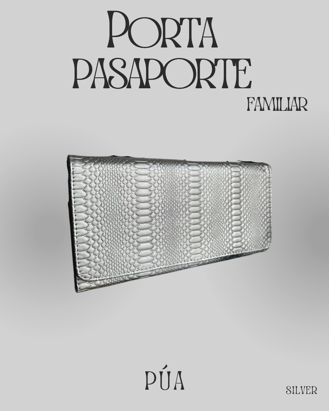 Porta Pasaporte Familiar Silver