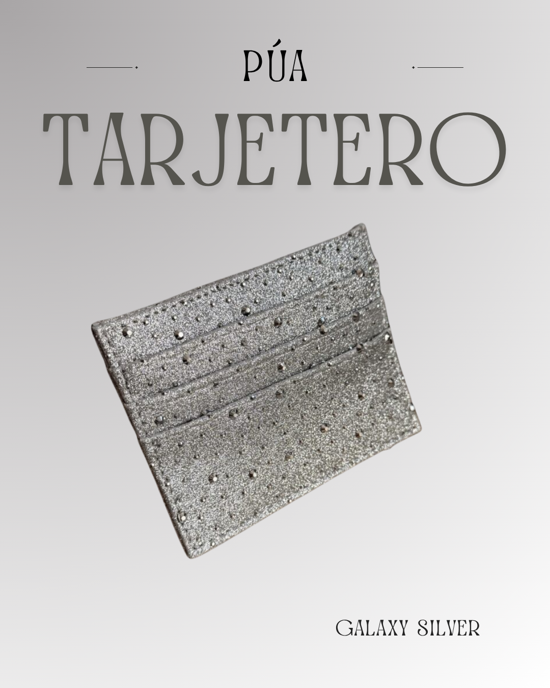 Tarjetero Galaxy Silver