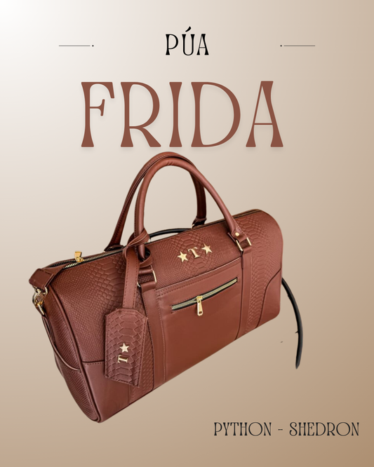 Frida Python Shedron